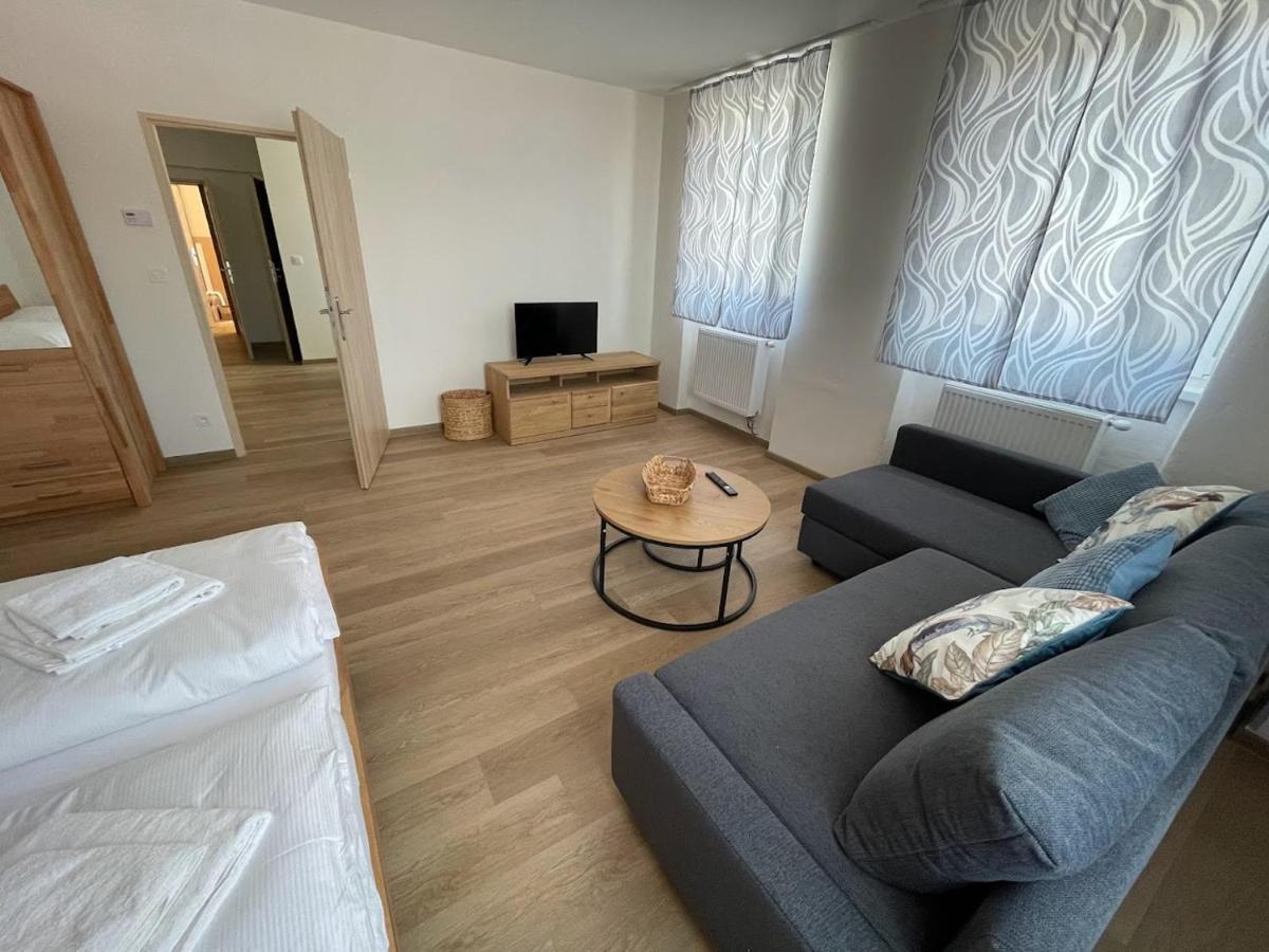 זדיקוב Apartmany Sumavanek מראה חיצוני תמונה