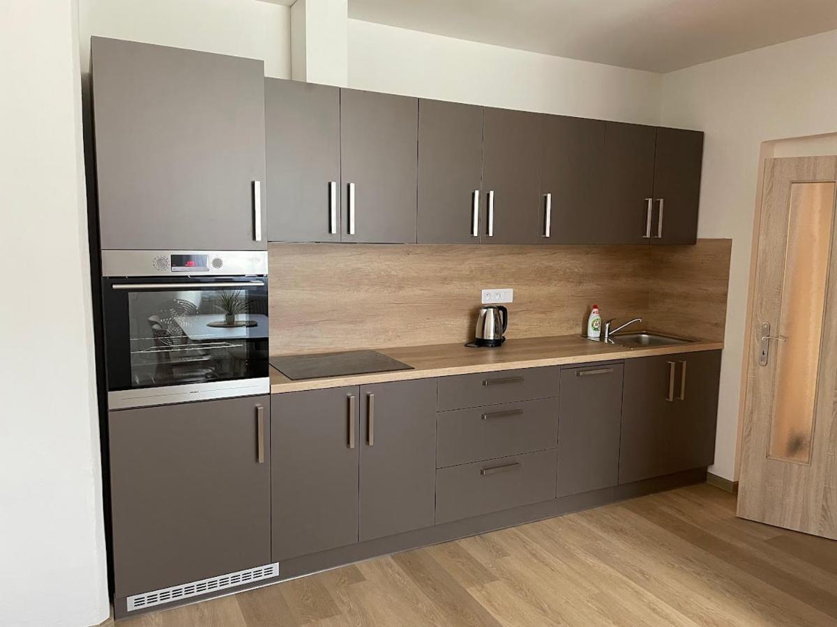 זדיקוב Apartmany Sumavanek מראה חיצוני תמונה